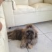 El iker !!!