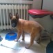frida desde un mes y medio