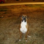 Golfo