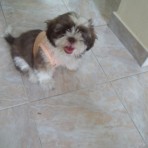 Mateo!!