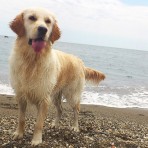 Nala
