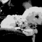 Laika