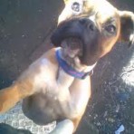 Jack