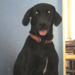 LUCAS