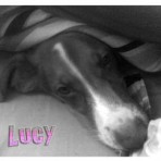 Lucy