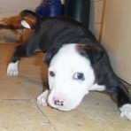 Neron