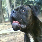 Tayson