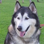 Kaiser