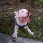 Keila