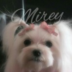 Denice