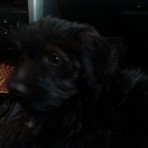 Jake