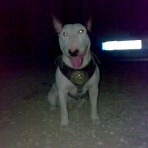 Leon