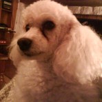 Thalia