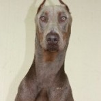 Greco