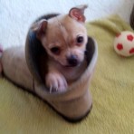 Keko