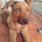 Kiara