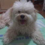 CUCHO ANDRES