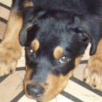 Hachy