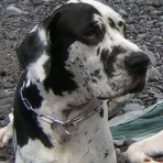 BALOO
