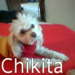 CHIKITA