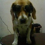Dalila