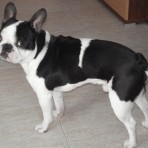 Tango