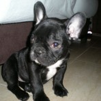 JACK