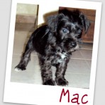 Mac