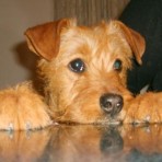 MARTINA