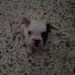 Narco