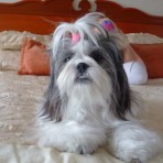Pinky
