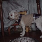 Moli