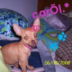 Carol