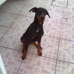 Lucas