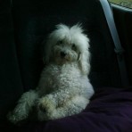 Lucas
