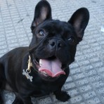 Sombra