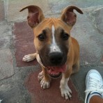 Gordo!