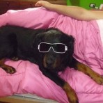 Homero