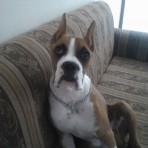 LUCKY LUCCIANO