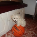 Lucia