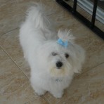 Nina