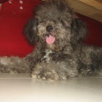 Lupita