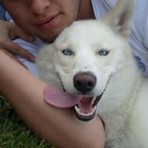 Atka