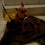 Chiquita