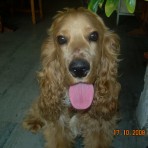 Matiii