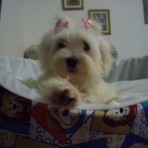 Muñeka