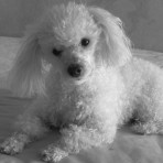 Kika