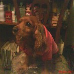 Benji