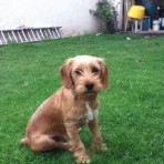 Lucas