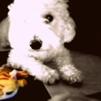 Golfo